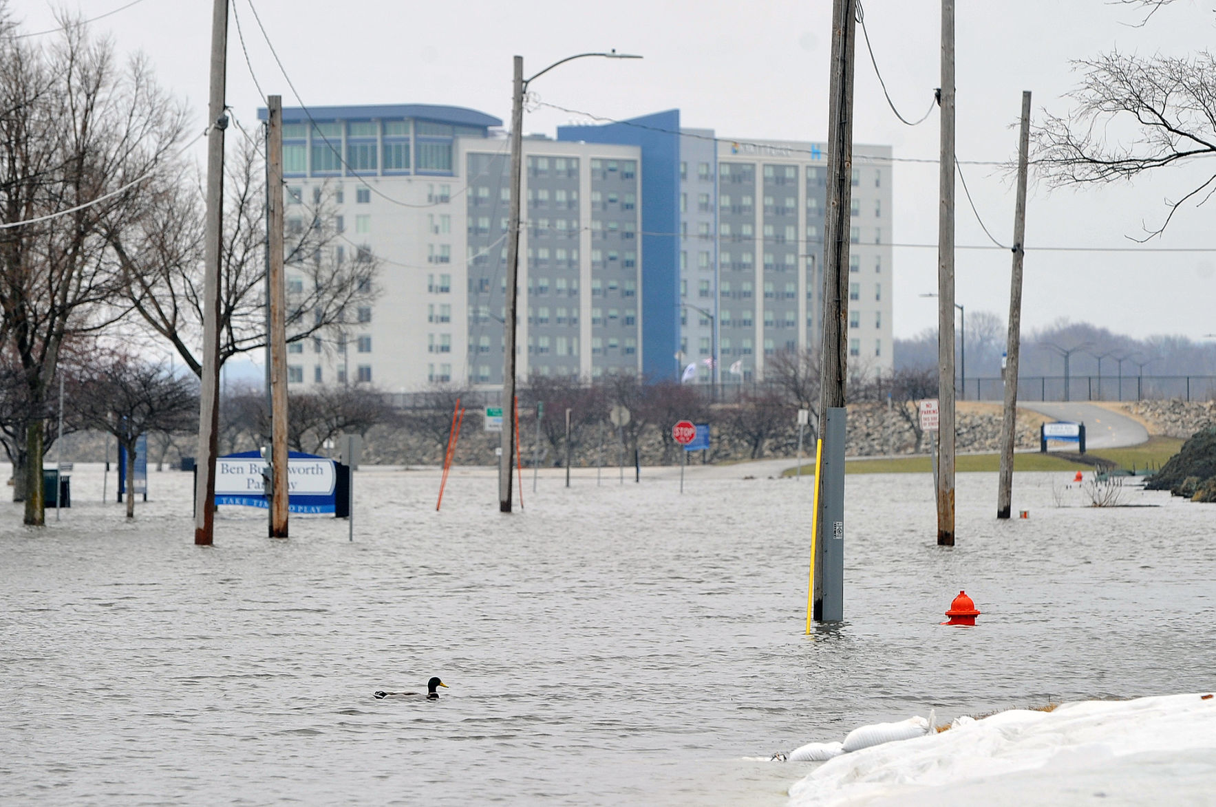 Flooding in the Illinois Quad-Cities area.